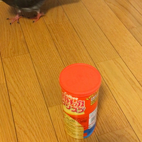 ピヨの感性？？(^.^)の画像