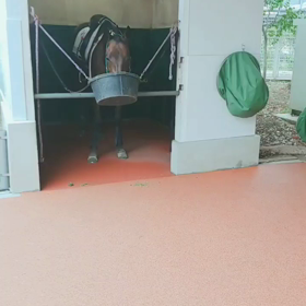 始まりまひたー＼(◎o◎)／の画像