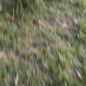 裏のオヤジの画像