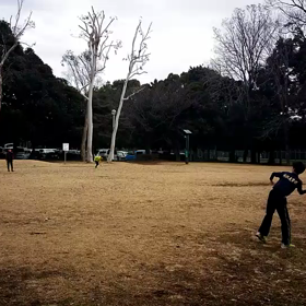 ジャベリックボール投げ ②の画像