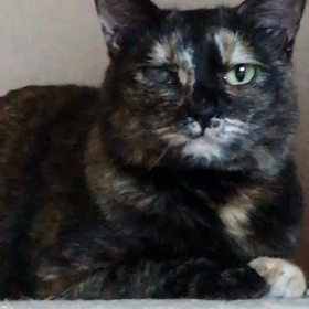 和っちゃん③の画像