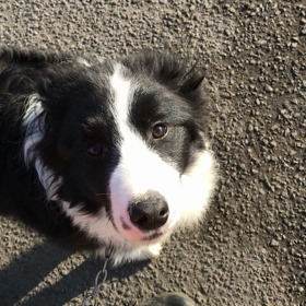 サンチュ君の画像