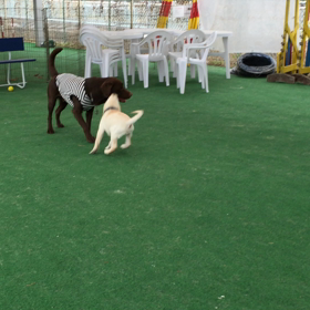 動画スタートの画像