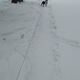 RUN&カラテ修行7-107の画像