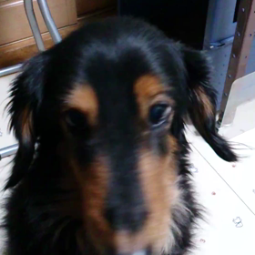 私のワンダフルライフの画像