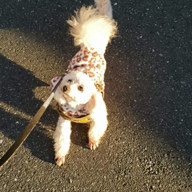 サーラのピーン動画です‼️の画像