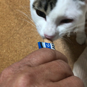 チュール美味しいねの画像