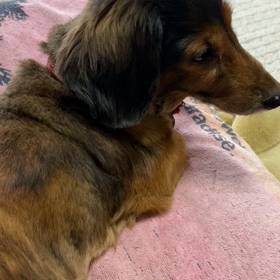 曇っていますが窓全開〜！の画像