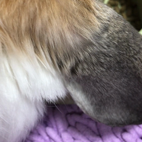 明日は土曜の画像