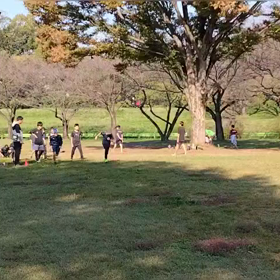 11/3 クロカンダッシュ⑦の画像