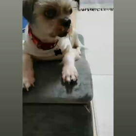 ★リラックス★の画像