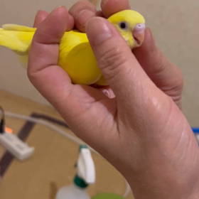 可愛いく仕上がりました♡の画像