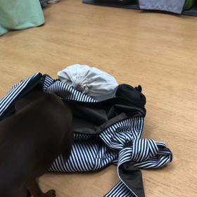 ママの時もちゃんとやるだよ。の画像