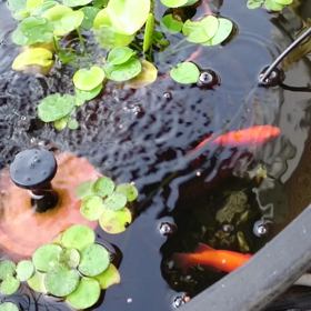 台風➰大丈夫だった？の画像