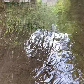 “自然と音遊び” プロジェクト vol.077！の画像