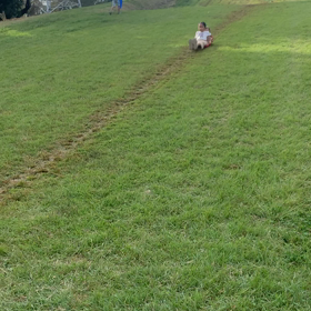 おもしろ動画の画像