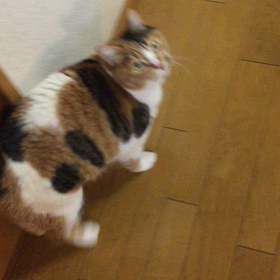 28日。釣本南の画像