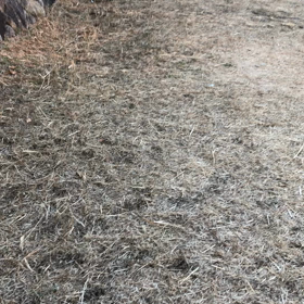 抜糸後の通院の画像