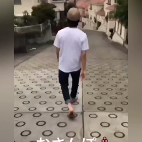 たおりゅうの画像