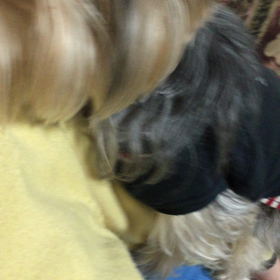 【動画】発情チロちゃん！の画像