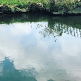 ネタがないのでキャスト動画を投稿します(^^♪の画像