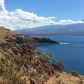 Back to Oahuの画像