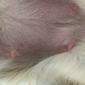 すごいよ♪───Ｏ（≧∇≦）Ｏ────♪の画像