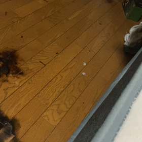 ユーライ？の画像