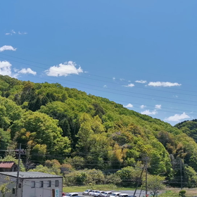 霊になったペットたちの画像