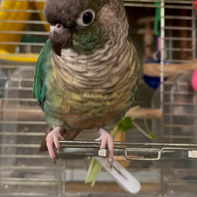 なっちゃん、おはようの画像