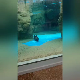 お盆もゆる～く営業中の画像