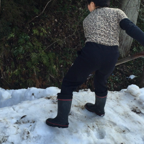 長男お手伝いの画像