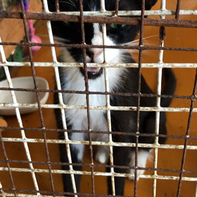 優ちゃんの体調の画像