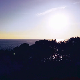 今朝の散歩。の画像