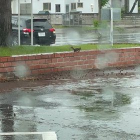 束の間の安らぎ気分の画像