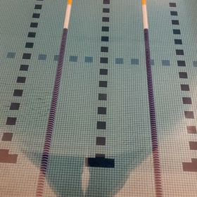 バタフライの画像