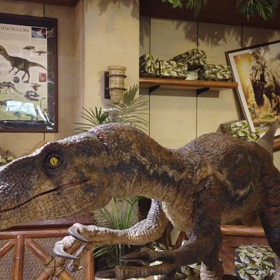 ユニバ営業再開後初イン（2020.7.3）12（動画）の画像