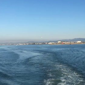 有り難いことの画像