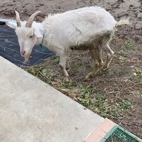 【直感】の画像