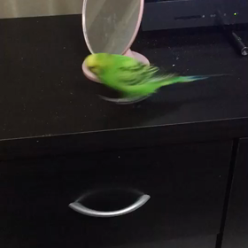 妹宅の柚月くん( ^ω^ )の画像