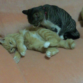 1人で寝かせての画像