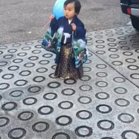 七五三　de 牛歩の画像