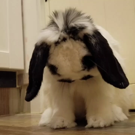 明日と明後日は。の画像