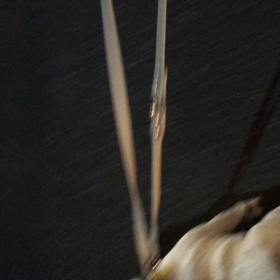 不甲斐ないかーちゃんの画像