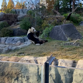 モニタリング⁉️の画像