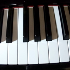 指のトレーニング１回目の画像