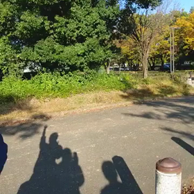 駅伝選考会ゴールシーン①の画像