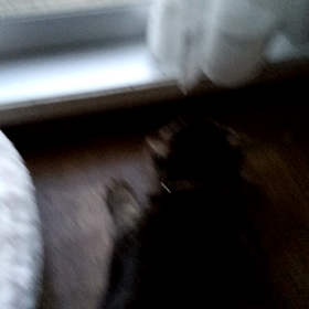 スマホで♪の画像