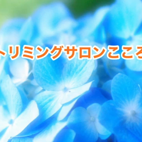 スライドショーの画像