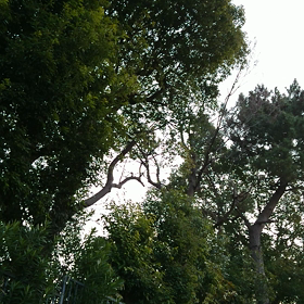 今日は春分の日の画像